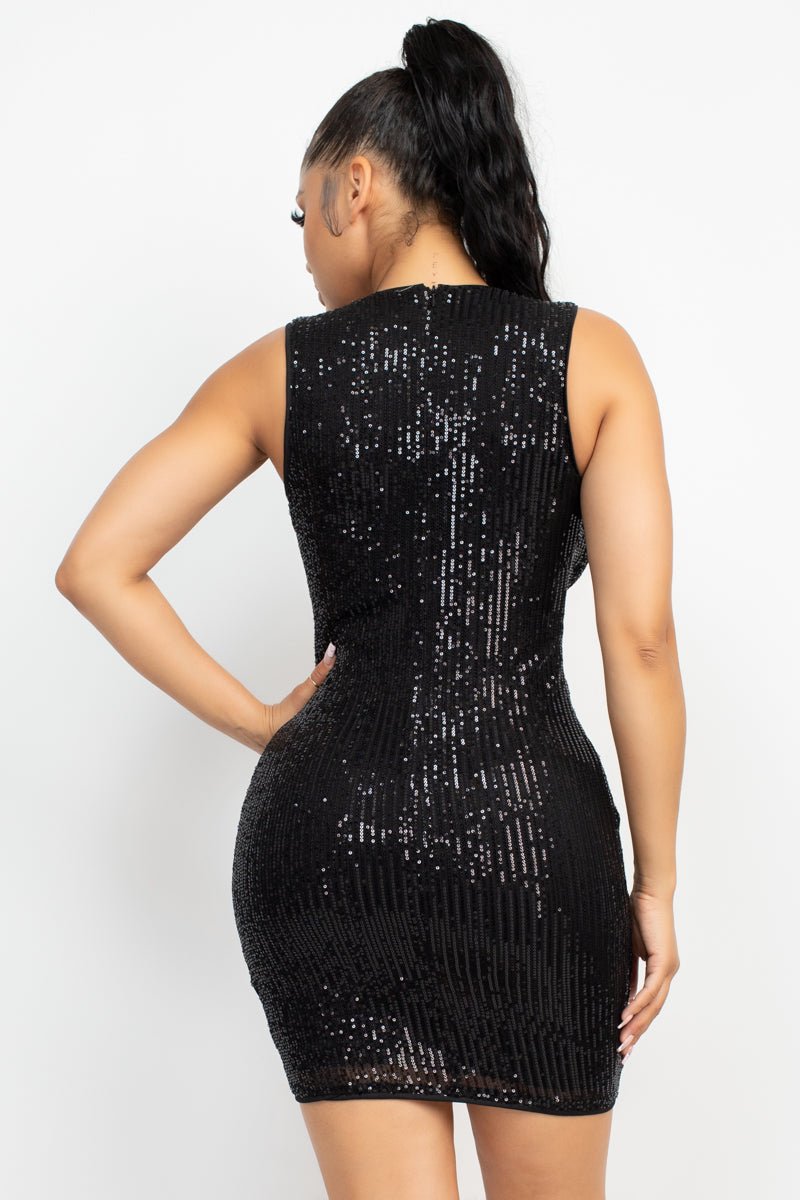 Sequin Mesh Bodycon Dress - Passion 4 Fashion USA