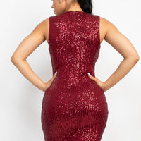 Sequin Mesh Bodycon Dress - Passion 4 Fashion USA